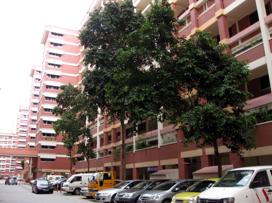 Blk 446 Hougang Avenue 8 (Hougang), HDB Executive #236212